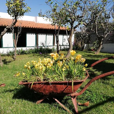 Casa Rural Limon Y Sol Саусаль Экстерьер фото