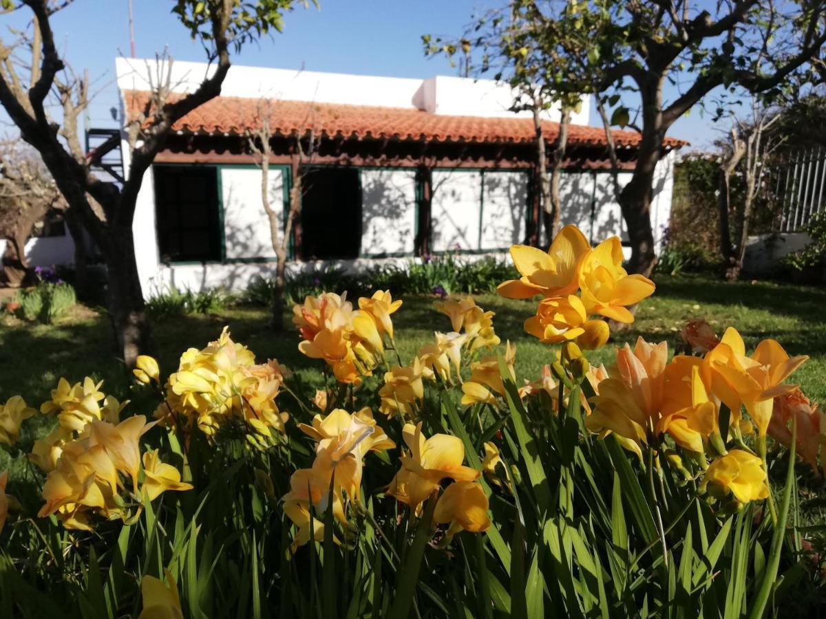 Casa Rural Limon Y Sol Саусаль Экстерьер фото