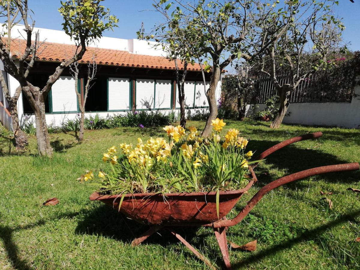 Casa Rural Limon Y Sol Саусаль Экстерьер фото