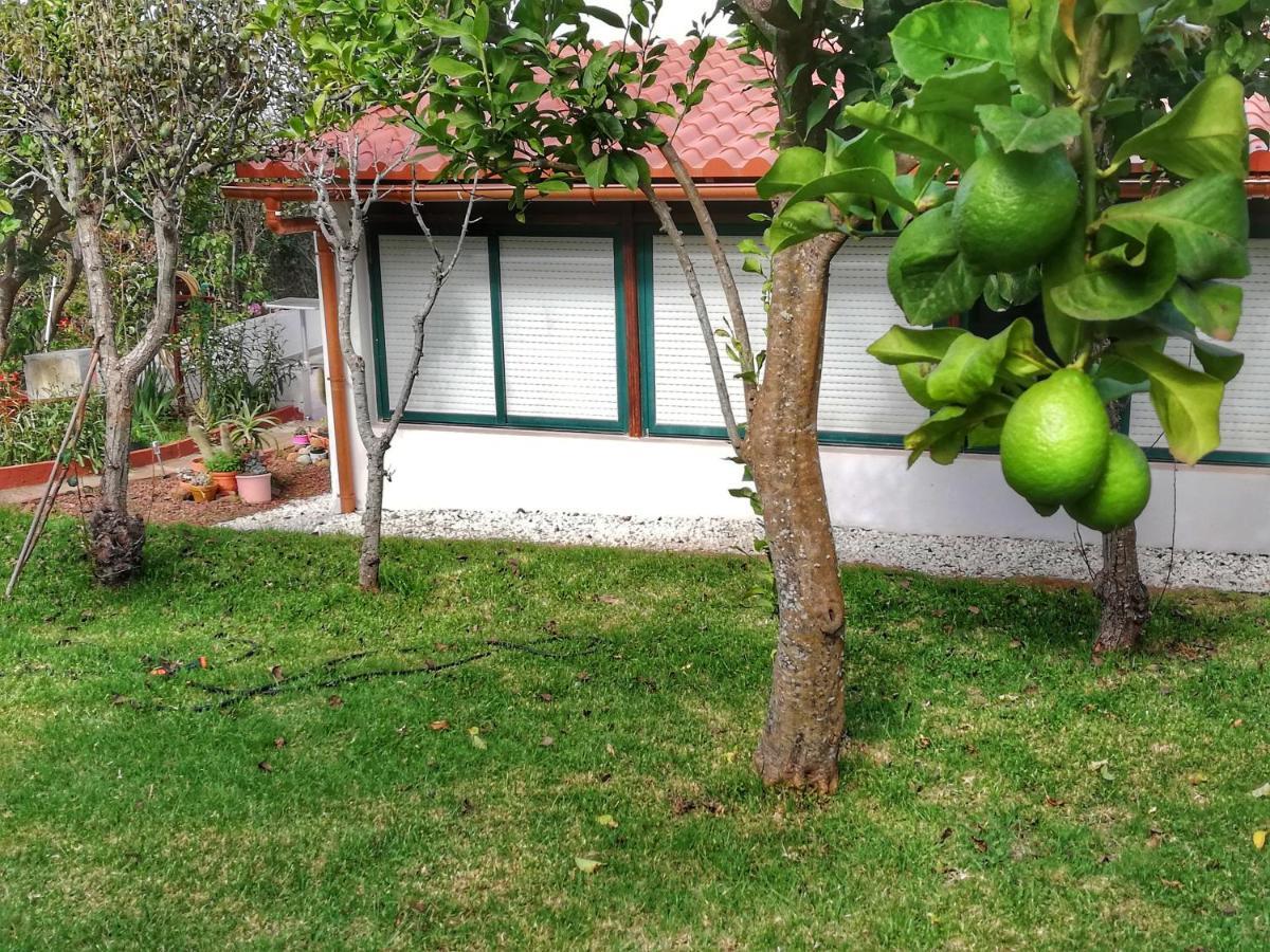 Casa Rural Limon Y Sol Саусаль Экстерьер фото
